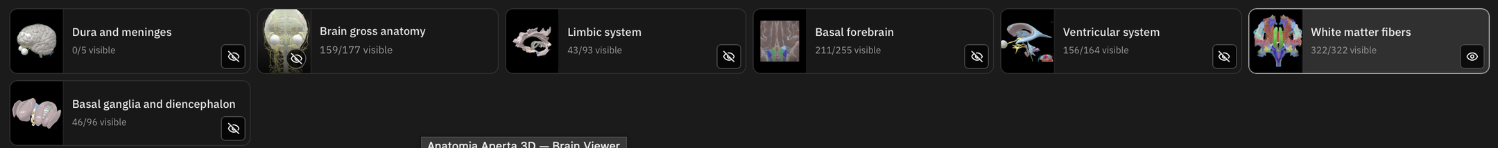 Actual upper category menu: Dura and meninges, Brain gross anatomy, Limbic system, Basal forebrain, Ventricular system, White matter fibers, and Basal ganglia and diencephalon