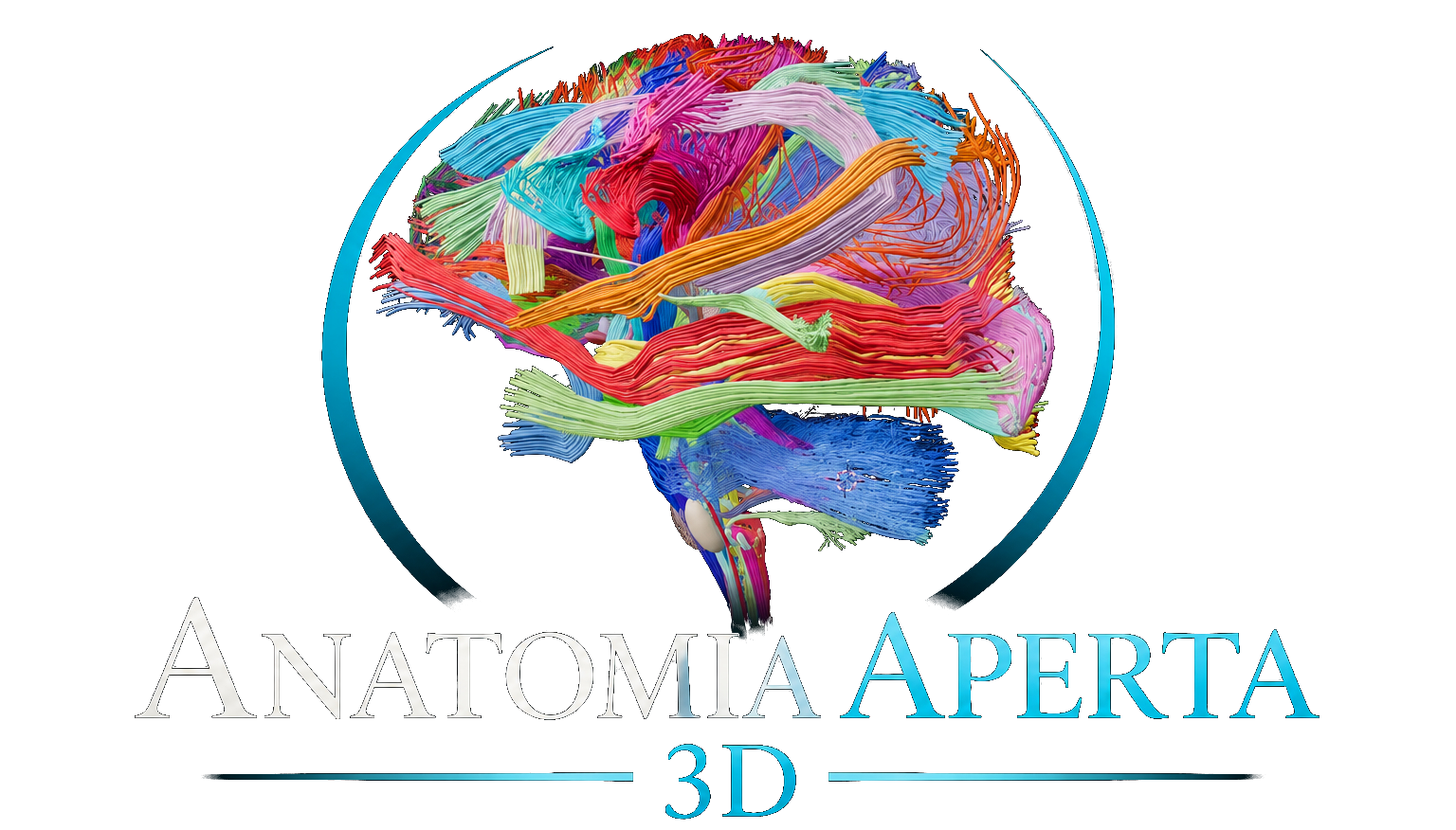 Anatomia Aperta 3D